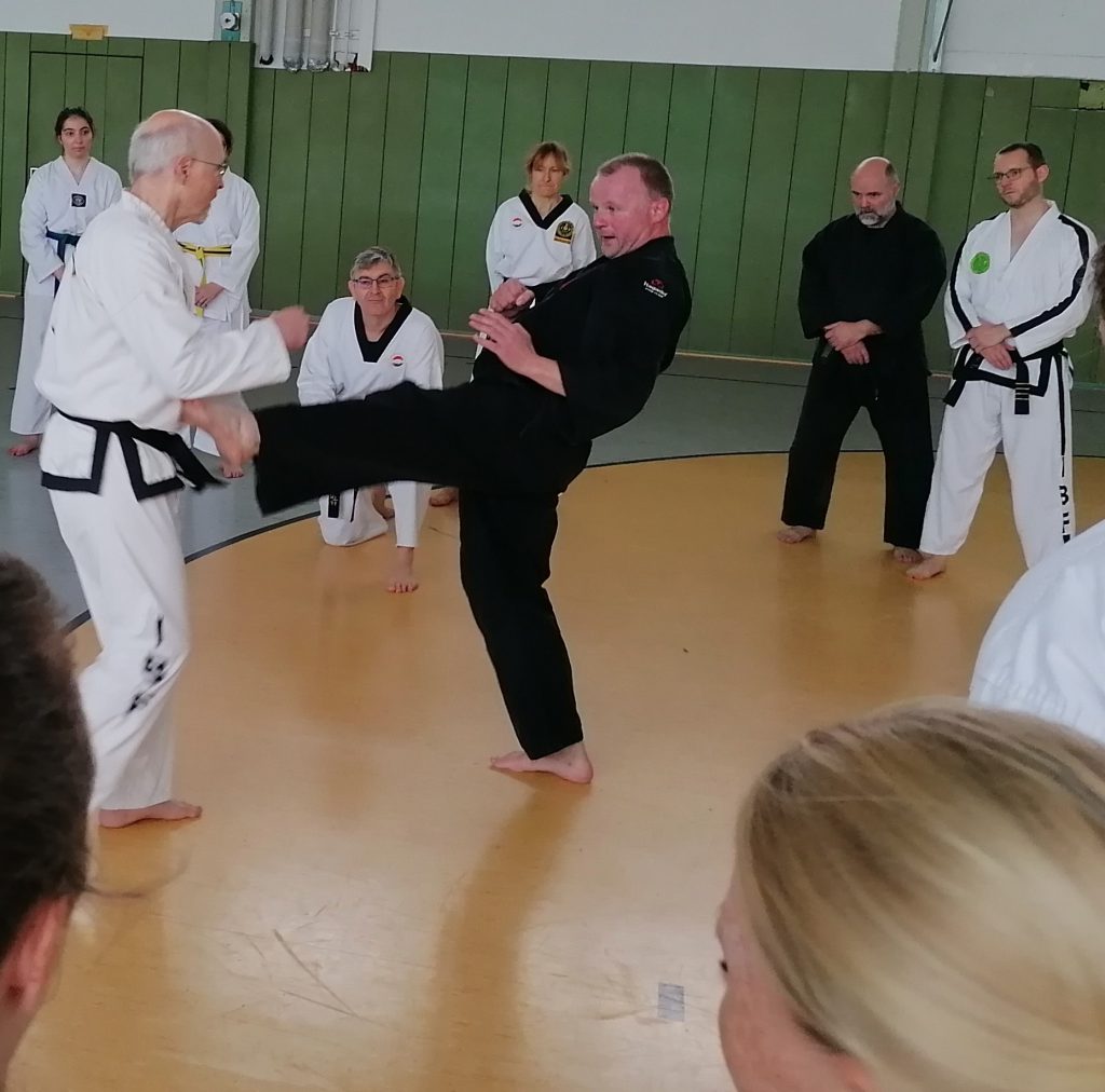 Selbstverteidigung im Shaolin Kempo: Abwehr mit einem frontalen Tritt